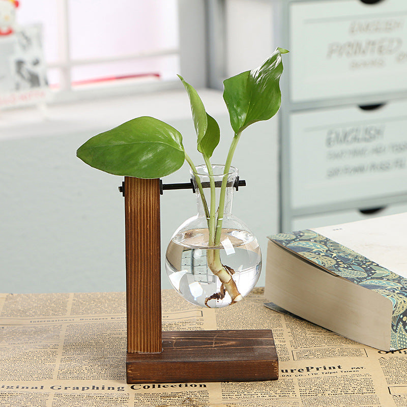 Hydroponic Green Plant Terrarium Vase with Wooden Frame