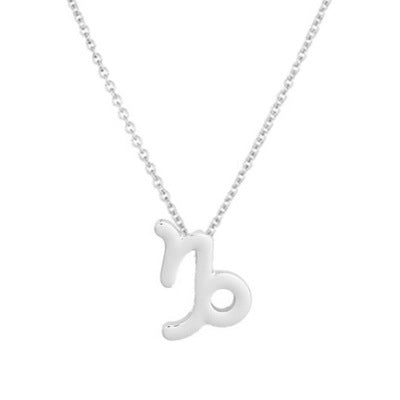 Necklace with 12 constellations chain